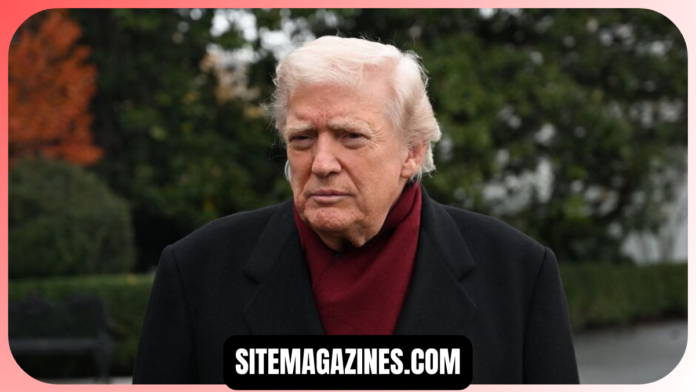 trump dressed like mamdani